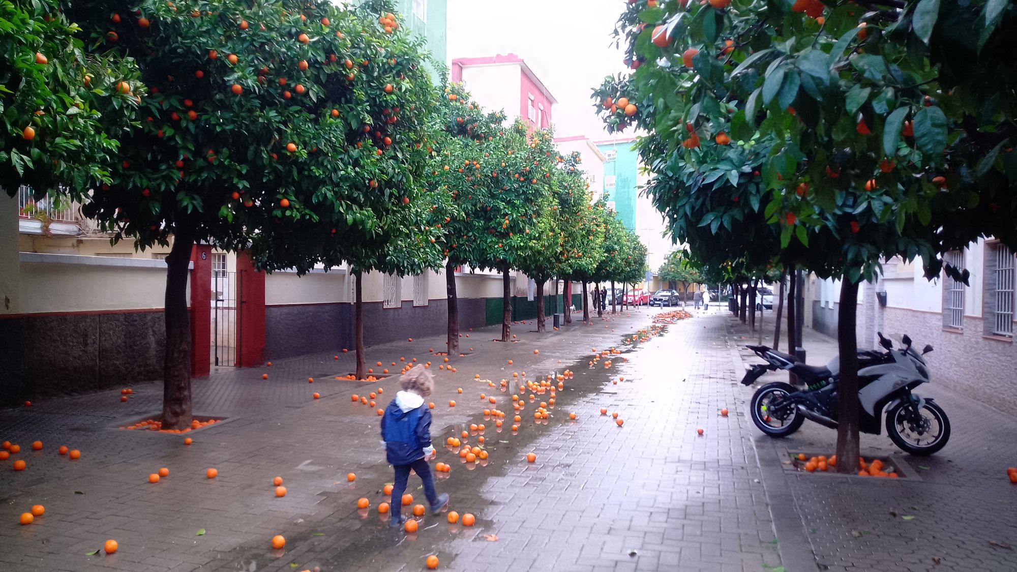 Cádiz, Sevilla a Irena